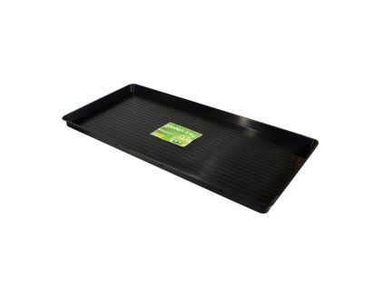 Giant Plus WEB