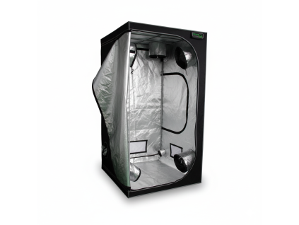 Generated Image January 19, 2026 5 33PM