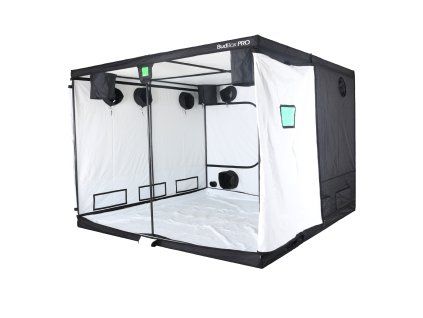 WHITE TITAN 3 HL (1)a