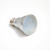 LEDPAR20 (1)