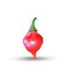 graines de piment peito de moca
