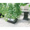 1538 6 nft gro tank gn 424