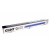 gled