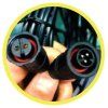 led daisy chain control cable to link latest to previous version zeus 3 pin 2 pin