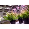 sylvania gro lux led 17w flowering