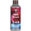 CZ Boost 500ml