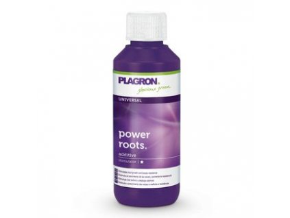 Plagron Power Roots 100ml