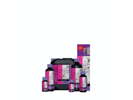 B cuzz Bloom Stimulator family