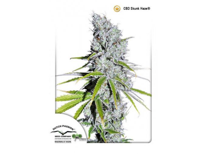 CBD SkunkHaze Dutch Passion