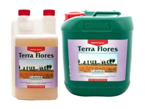terra flores