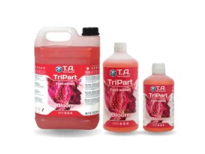 TriPart B