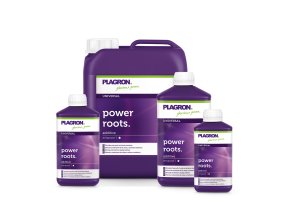 plagron power roots