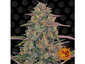 large pineapple chunk 1 956571
