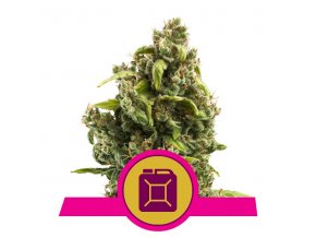 sour diesel