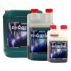 canna rhizotonic (1)