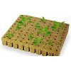 Starter Cubes Seedling Plugs