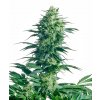 mother s finest xl