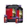 Bcuzz Coco Booster Universal family