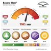 banana blaze terpenes and cannabinoids dutch passion cannabis seed company V2