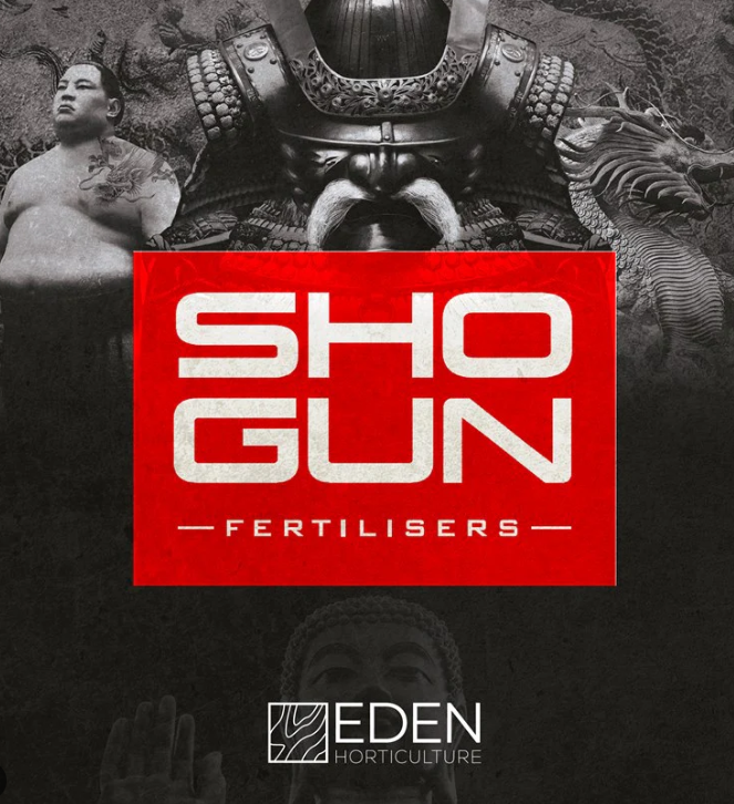 Shogun