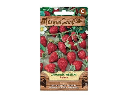 Semínka MoravoSeed Jahodník měsíční 61800