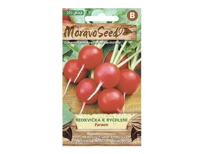 Semínka MoravoSeed Ředkvička k rychlení FARAON, kulatá červená 65921