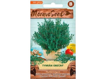 Semínka MoravoSeed Tymián obecný 71742