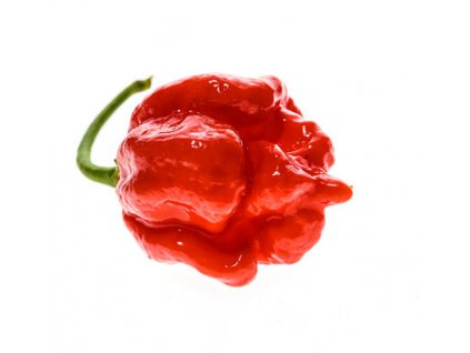 Semínka Piquant Paprička chilli TRINIDAD MORUGA SCORPION RED