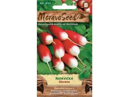 Semínka MoravoSeed Ředkvička SLOVANA, válcovitá červenobílá 65908