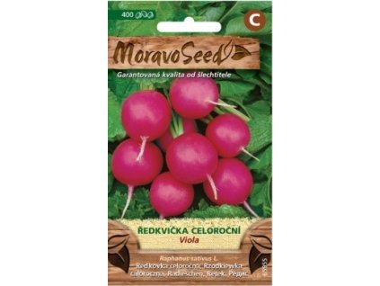 Semínka MoravoSeed Ředkvička VIOLA, kulatá fialová 65955