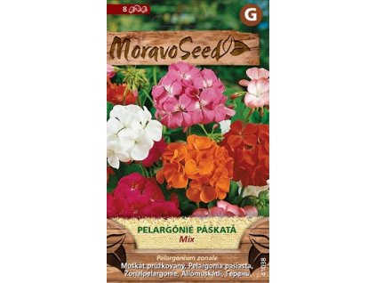 Semínka MoravoSeed Pelargónie páskatá, směs 41038