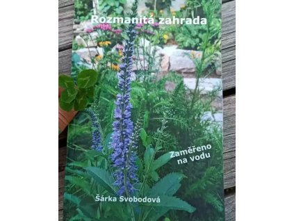 316833258 174864181817108 3467508004710651933 n