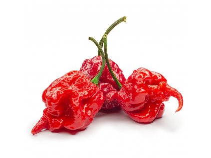 Semínka Piquant Paprička chilli CAROLINA REAPER