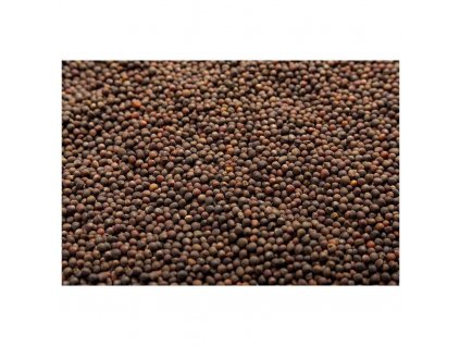 36413 cervene zeli na microgreens 50 g