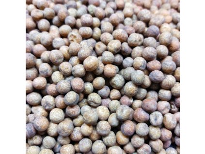 36770 hrach sety maple leaf na microgreens 100 g