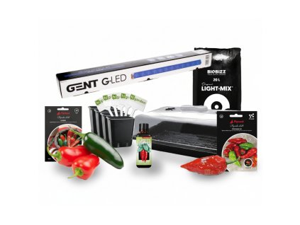 Untitled design Max Quality (1)