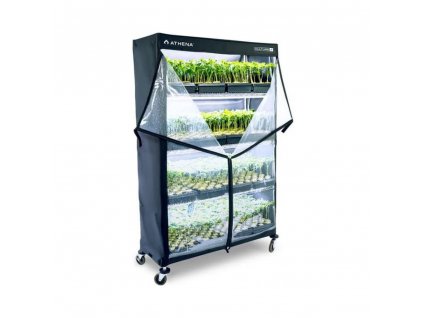 42745 athena vp dome propagator 120x45x180 cm
