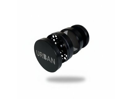 Generated Image March 19, 2026 11 22AM