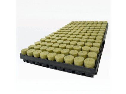 aw Plug basic 28