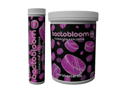 bactobloom2
