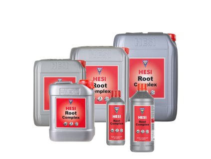 Root Complex
