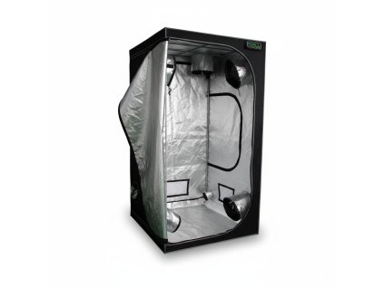 Generated Image January 19, 2026 5 33PM