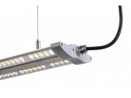 Hortimol T-LED 40W, 60cm