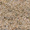 36407 cekanka na microgreens 50 g