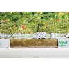 2024 06 08 17 28 42 grow media grodan 1m vital rockwool slab 39478509961431.jpg (1200×800)