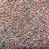 37028 pak choi cerveny na microgreens 50 g