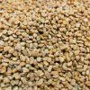 37070 piskavice recke seno na microgreens 50 g
