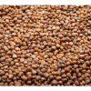 37196 redkev china rose na microgreens 1 kg