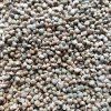 37841 spenat sety na microgreens 500 g