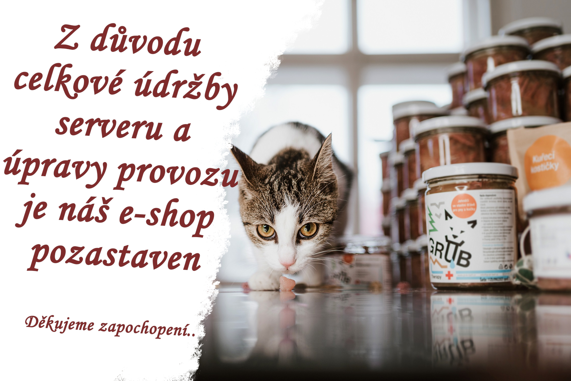 Dovolená